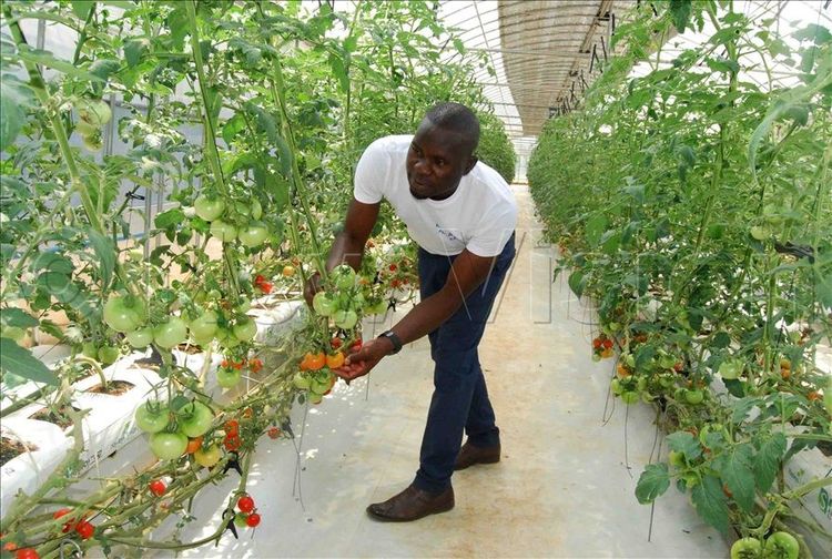 Horticulture, Floriculture & Controlled Farming