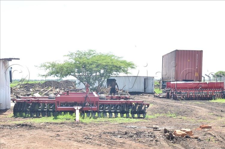 Harvest Money - Uganda's Premier Agricultural News & Insights